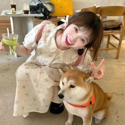 小鸟之翼第二季